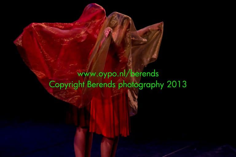 E-Motion 2012