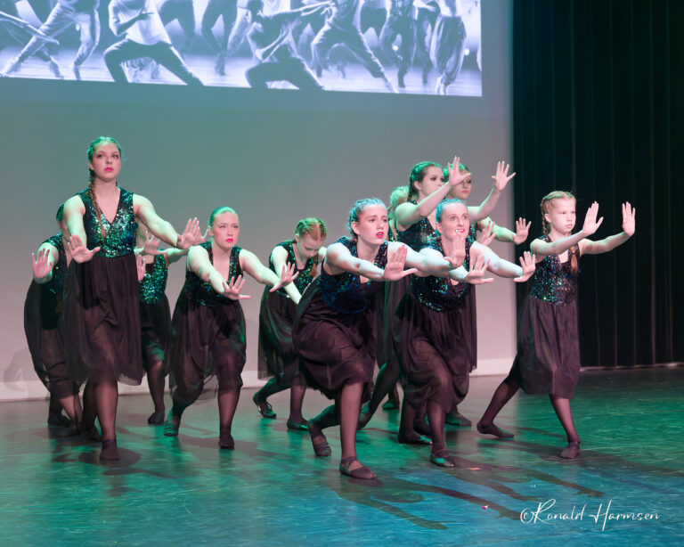 “Freedom” voorstellingen – Spektakel Zwijndrecht – 21 juni 2025